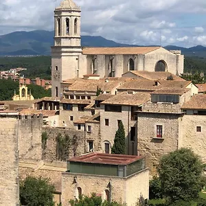Apartahotel As Palau Dels Alemanys Boutique Monument, Gerona